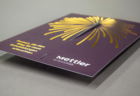 Mettler Entwickler AG